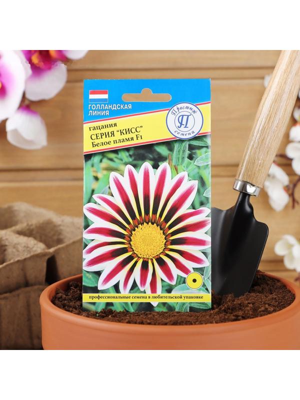 Семена цветов Гацания 