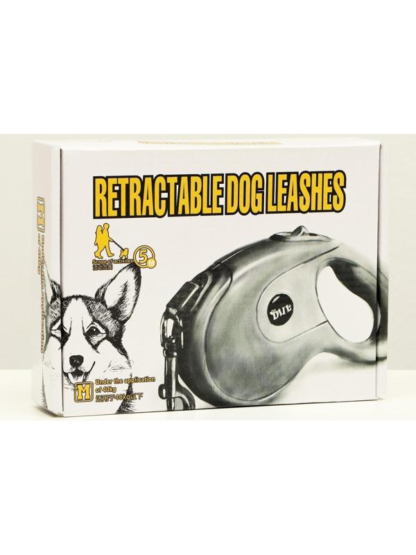 Рулетка DIIL, 5 м, до 40 кг, лента, прорезиненная ручка, зелёная с серым