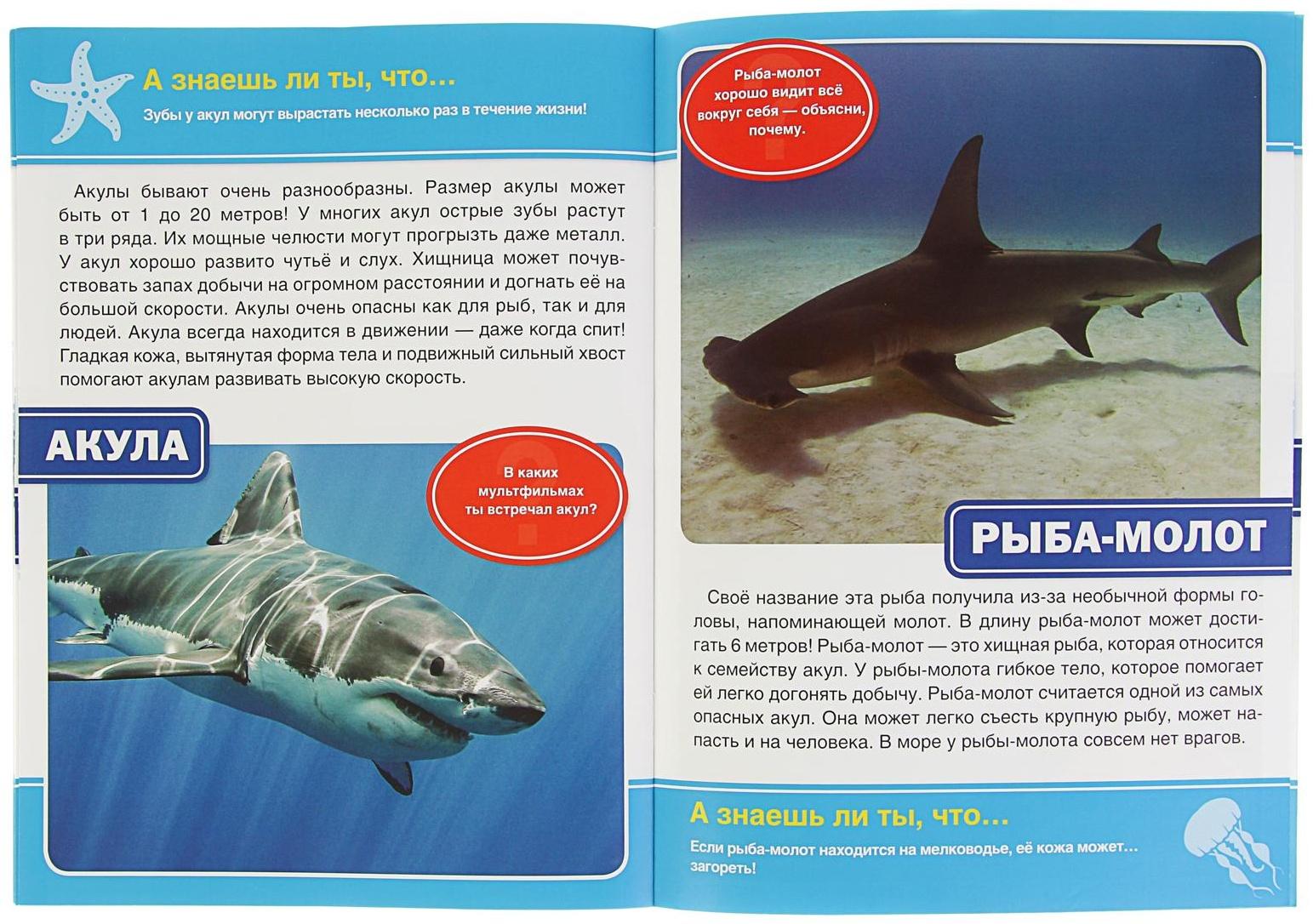 Энциклопедия с развивающими заданиями «Морские обитатели»