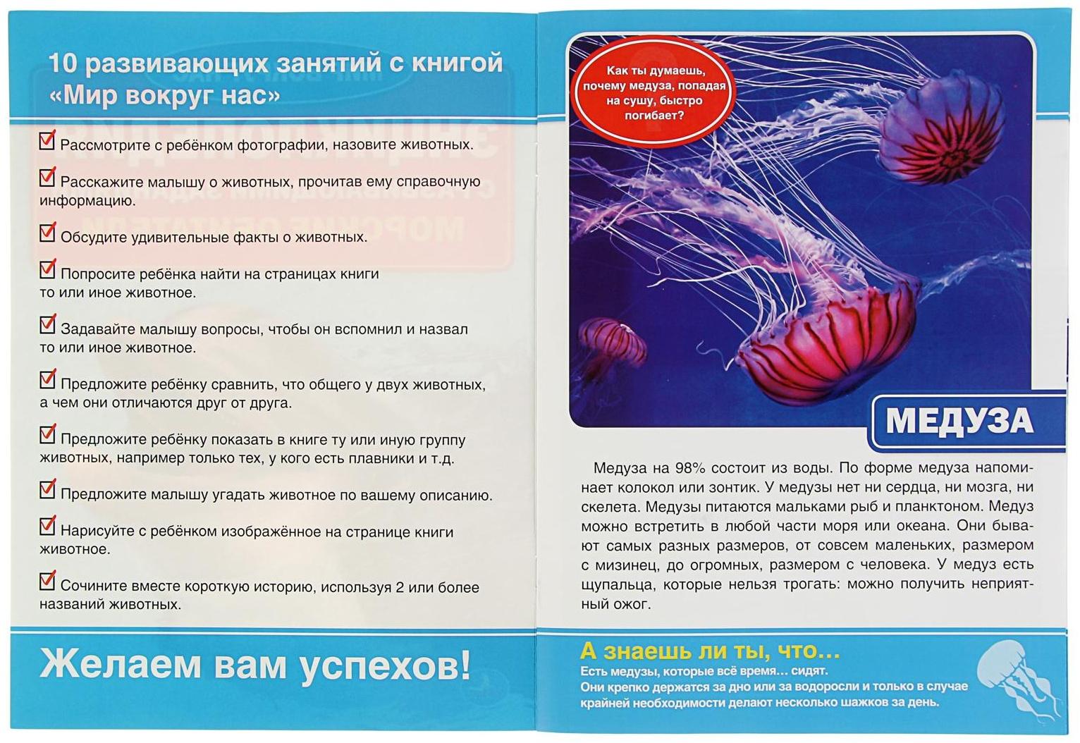 Энциклопедия с развивающими заданиями «Морские обитатели»