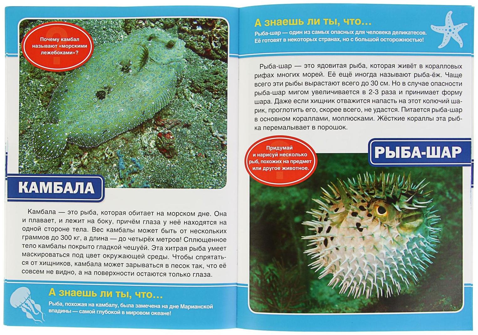 Энциклопедия с развивающими заданиями «Морские обитатели»