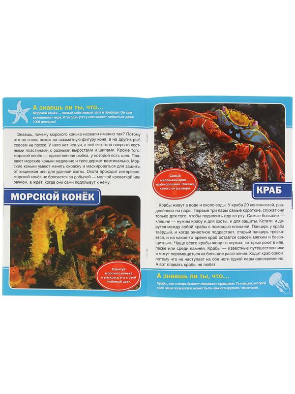 Энциклопедия с развивающими заданиями «Морские обитатели»