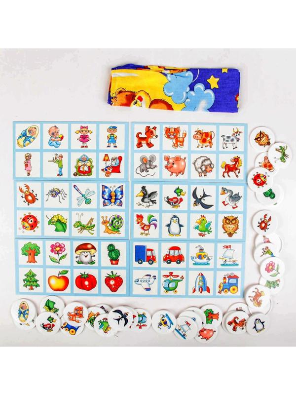 Лото «Мир вокруг»