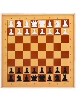 Демонстрационные шахматы магнитные 01756 (поле 61 х 61 см, фигуры полимер, король 6.3 см)