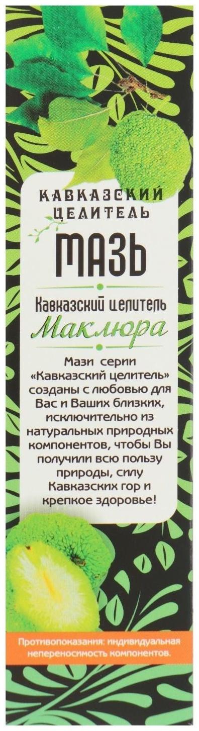 Мазь «Кавказский целитель. Маклюра» травяная, при радикулите, подагре, остеохондрозе, геморрое, экземе и дерматите, 30 мл