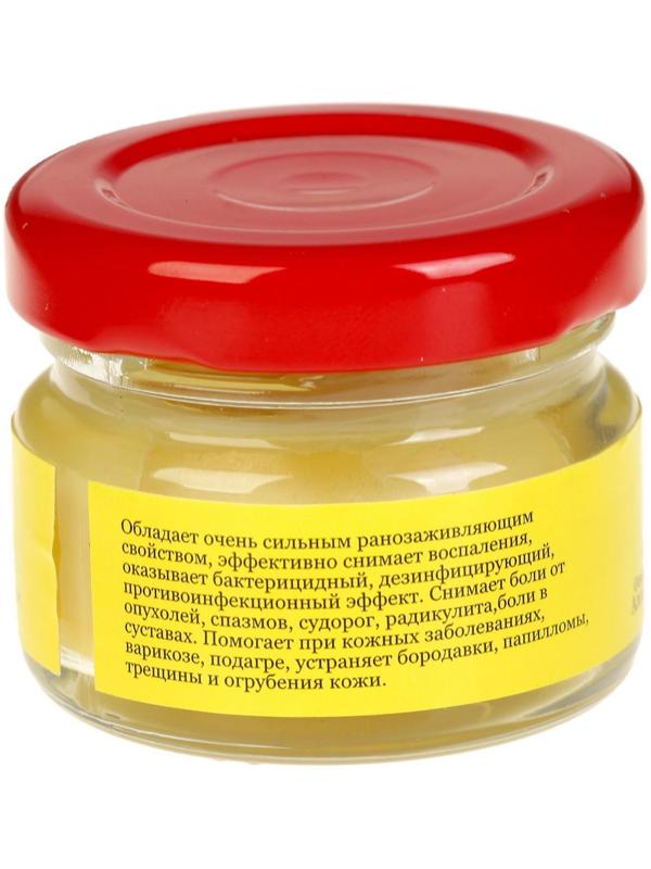 Мазь «Монастырская Живица с Мухомором». Ранозаживляющая.  Стекло. 28 мл.