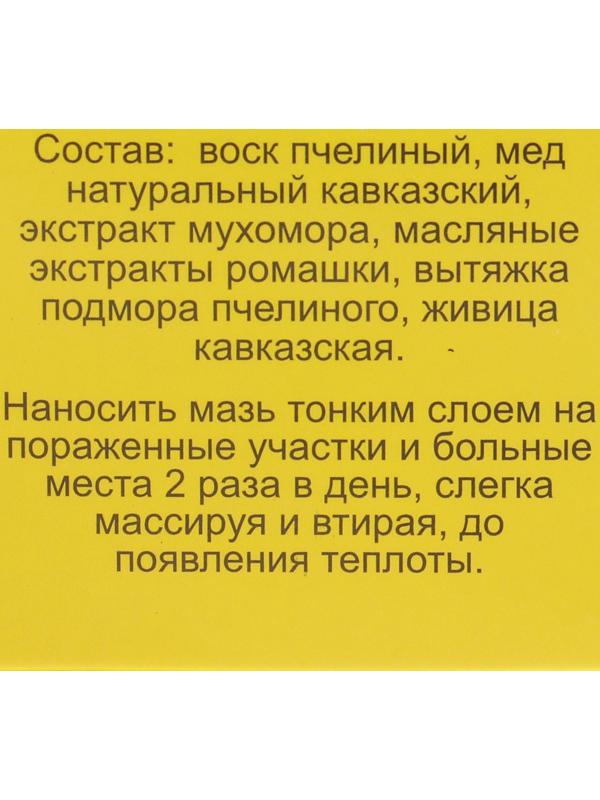 Мазь «Монастырская Живица с Мухомором». Ранозаживляющая.  Стекло. 28 мл.
