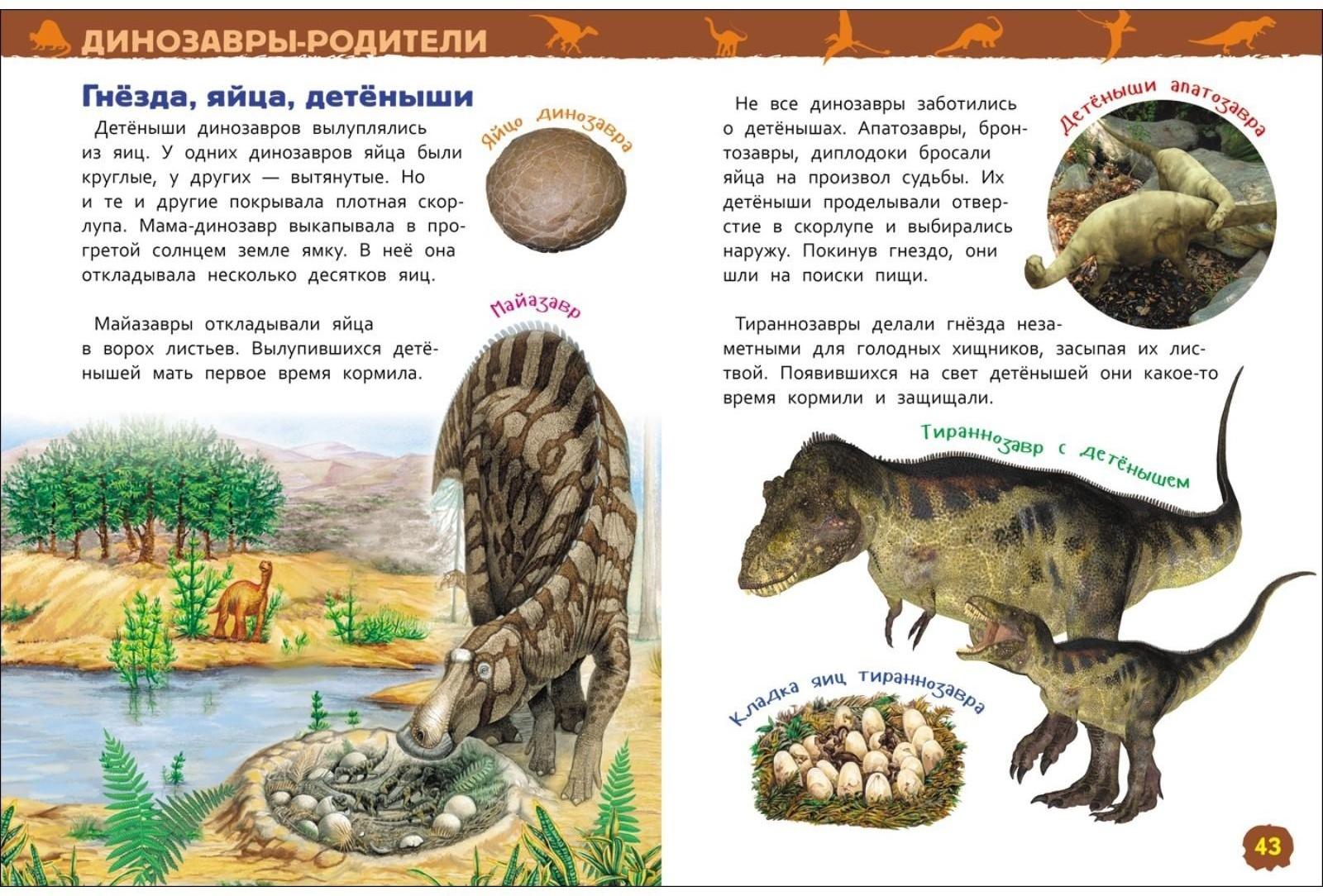 Энциклопедия для детского сада «Динозавры»