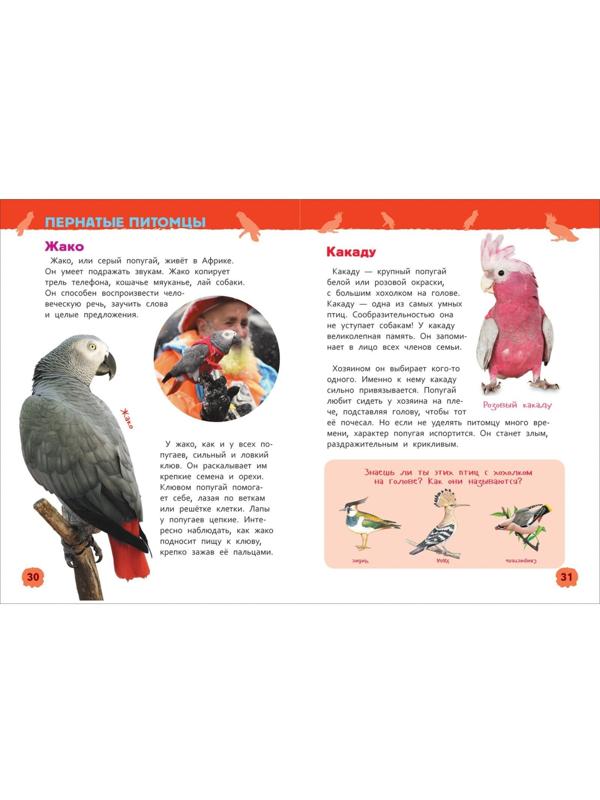 Энциклопедия для детского сада «Домашние питомцы»