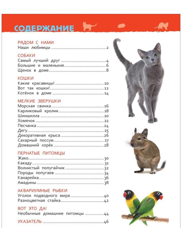Энциклопедия для детского сада «Домашние питомцы»