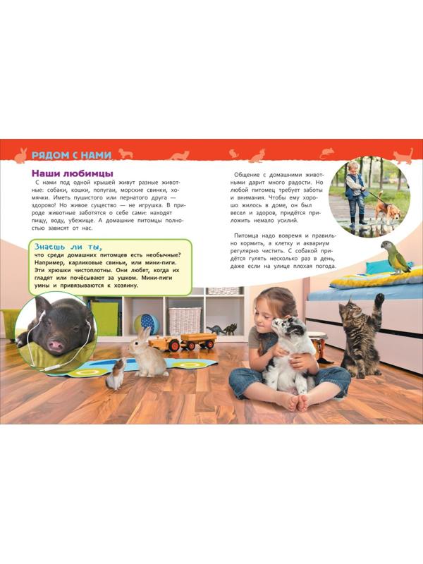 Энциклопедия для детского сада «Домашние питомцы»