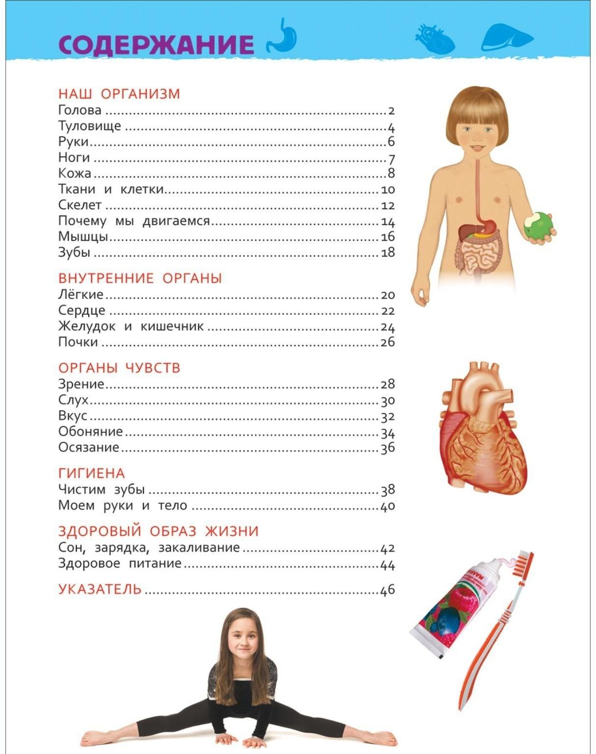 Энциклопедия для детского сада «Тело человека»