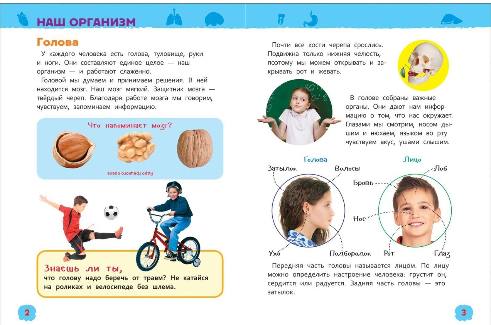 Энциклопедия для детского сада «Тело человека»