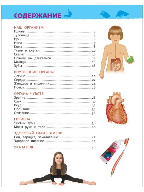 Энциклопедия для детского сада «Тело человека»