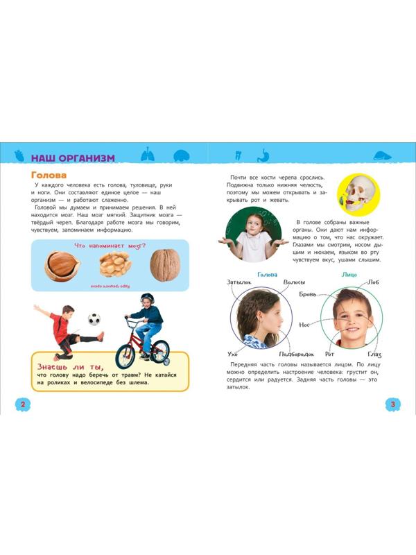 Энциклопедия для детского сада «Тело человека»
