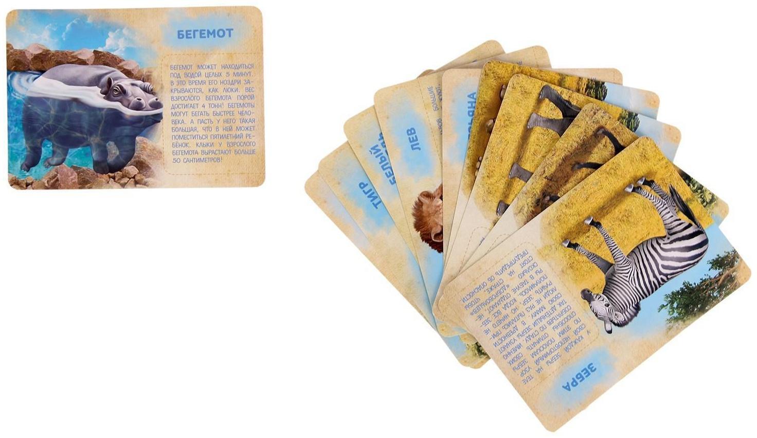 Набор животных с обучающими карточками «Дикие животные разных стран», животные пластик, карточки, по методике Монтессори