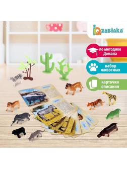 Набор животных с обучающими карточками «Дикие животные разных стран», животные пластик, карточки, по методике Монтессори