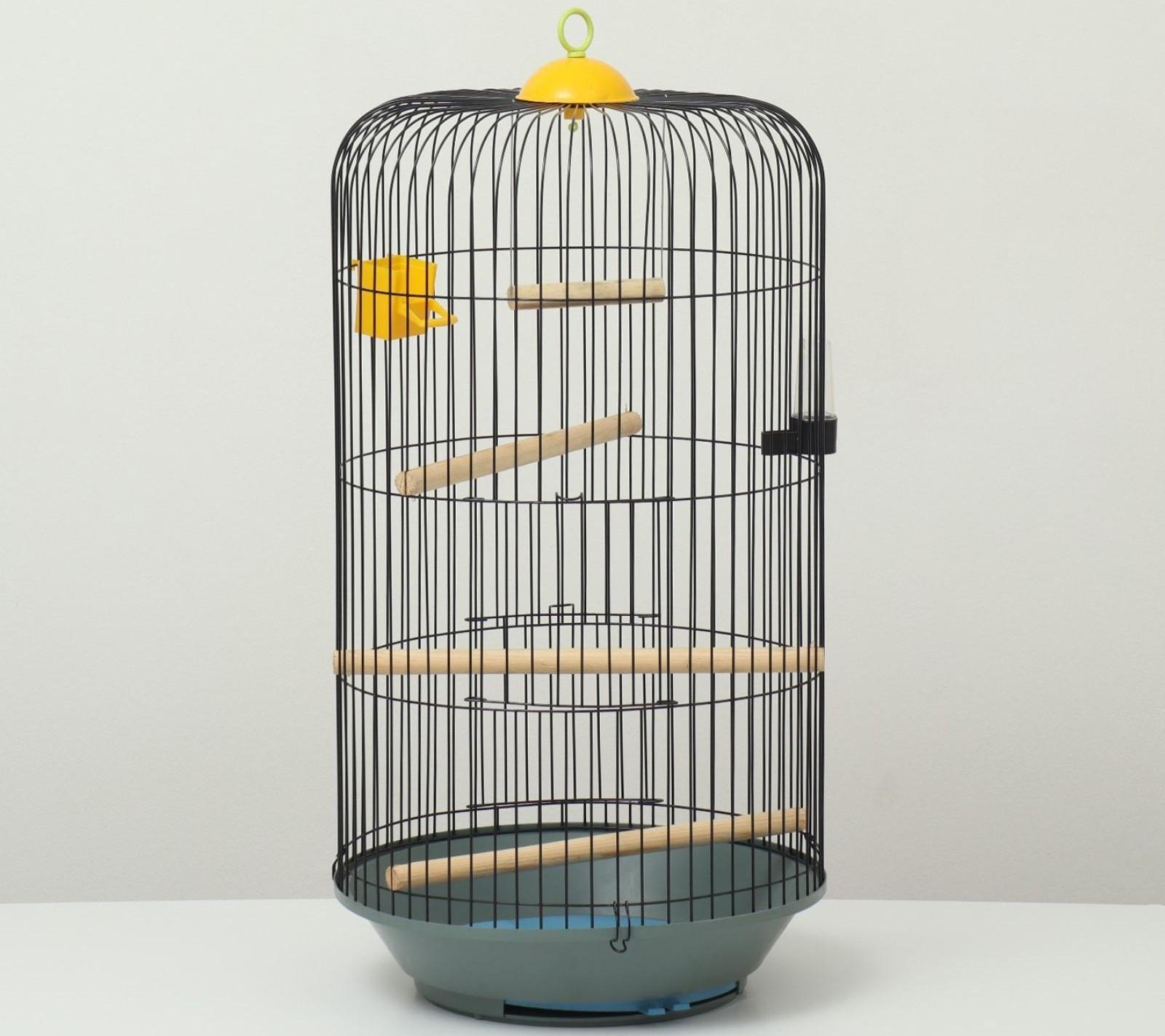 Клетка для корелл круглая «Рио», 40 x 83 см, микс цветов