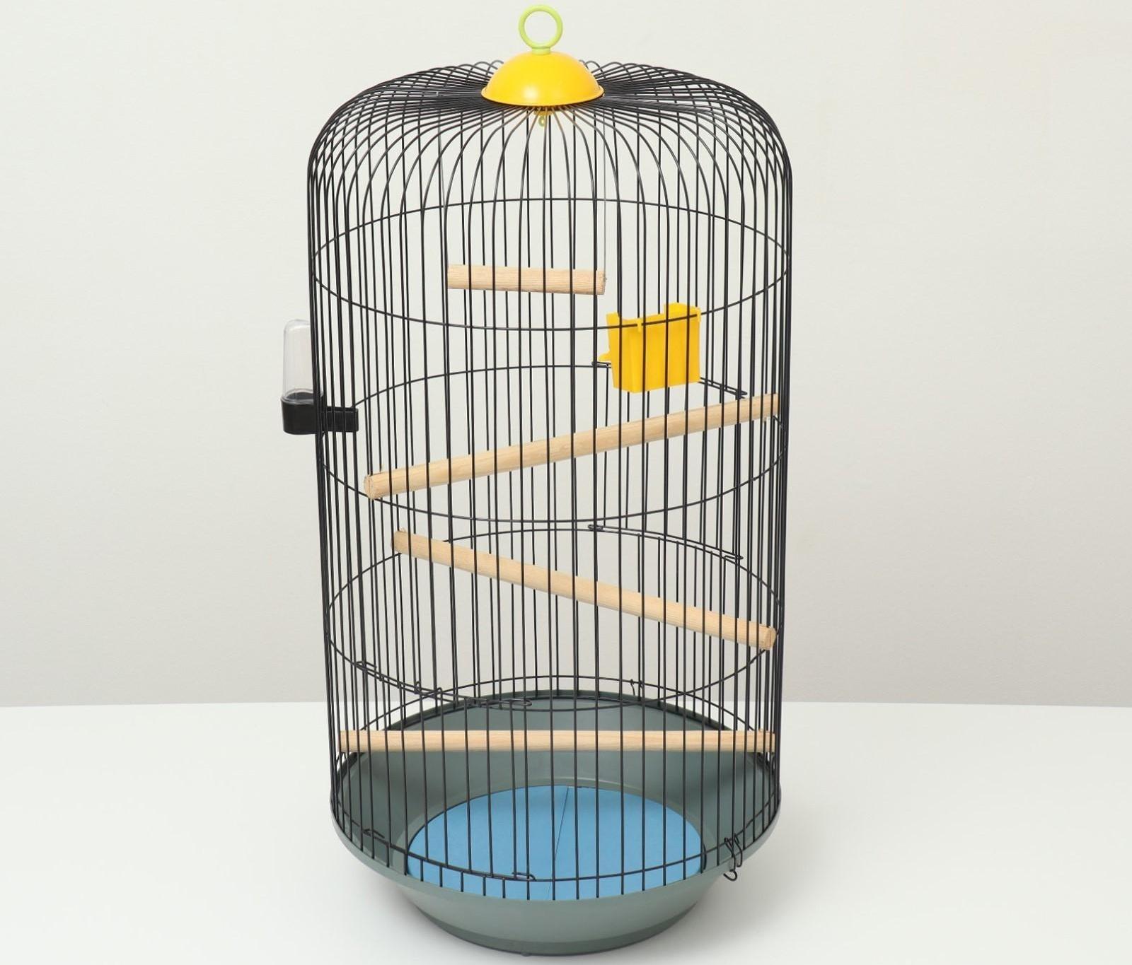 Клетка для корелл круглая «Рио», 40 x 83 см, микс цветов