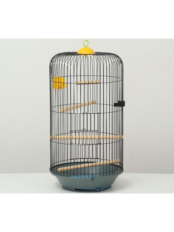 Клетка для корелл круглая «Рио», 40 x 83 см, микс цветов