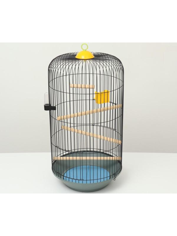 Клетка для корелл круглая «Рио», 40 x 83 см, микс цветов