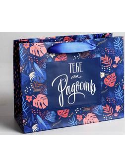 Пакет подарочный ламинированный «Тебе на радость» 22 × 17.5 × 8 см