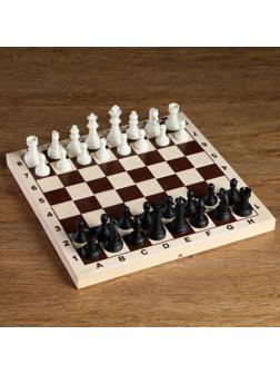 Шахматные фигуры, король h-6.2 см, пешка h-3.2 см, черно-белые