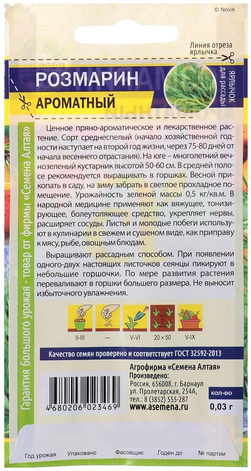 Семена Розмарин 