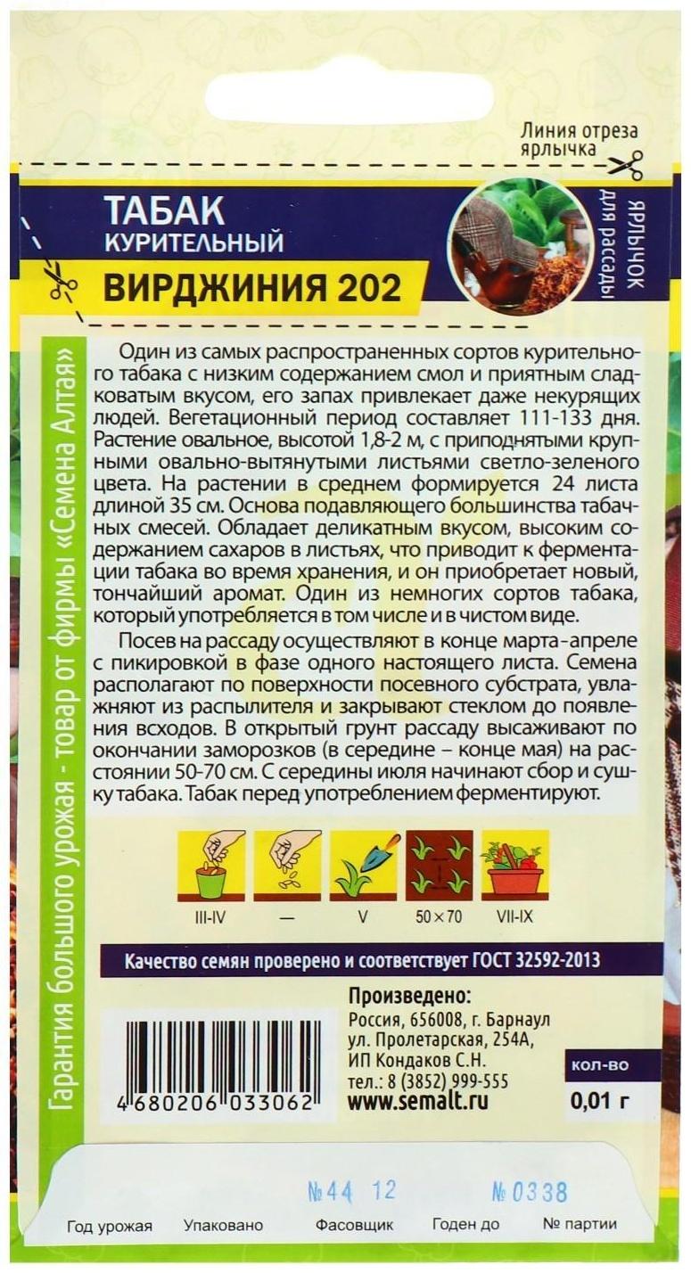 Семена Табак 