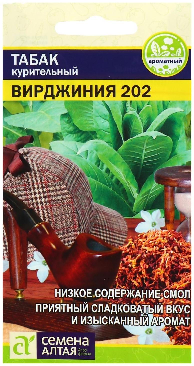 Семена Табак 