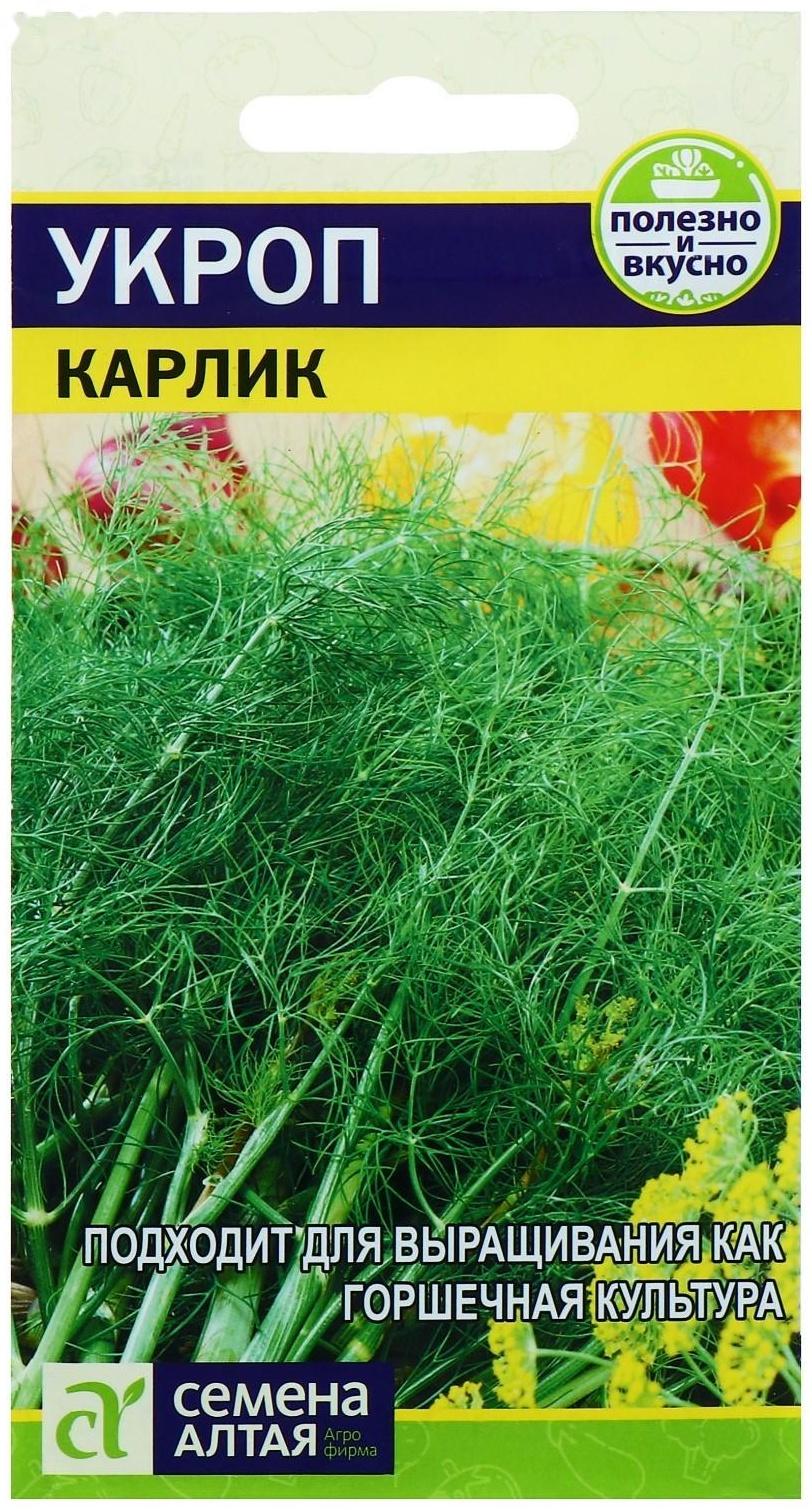 Семена Укроп 