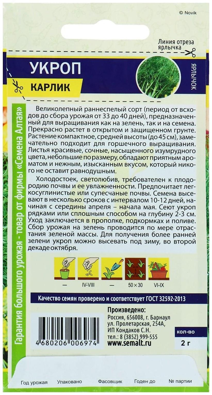 Семена Укроп 