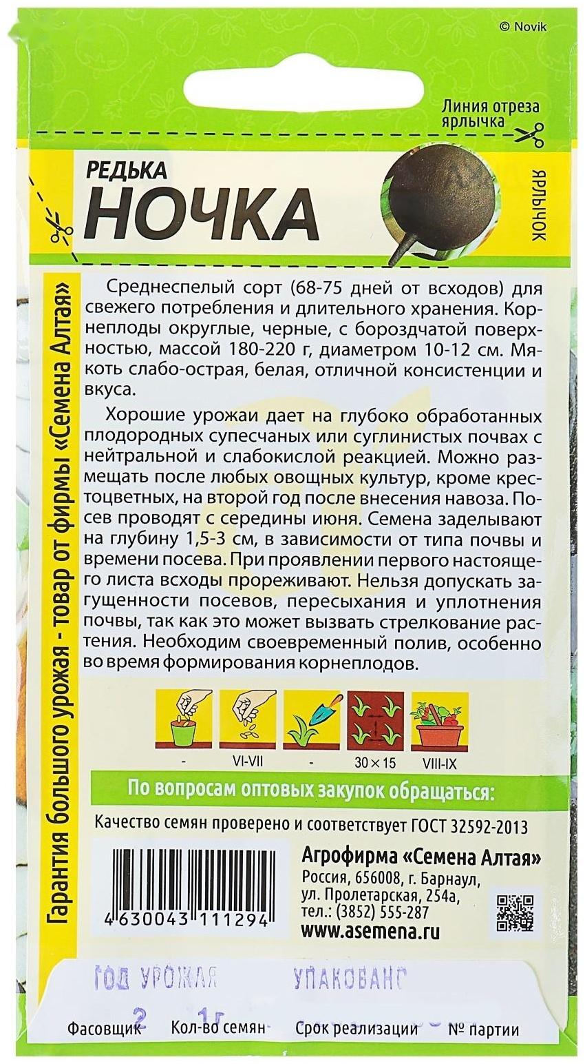 Семена Редька 