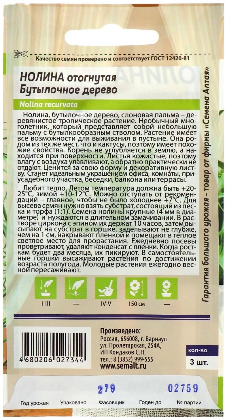 Семена комнатных цветов Нолина 