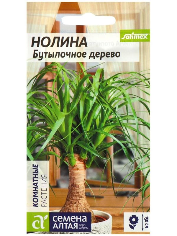 Семена комнатных цветов Нолина 