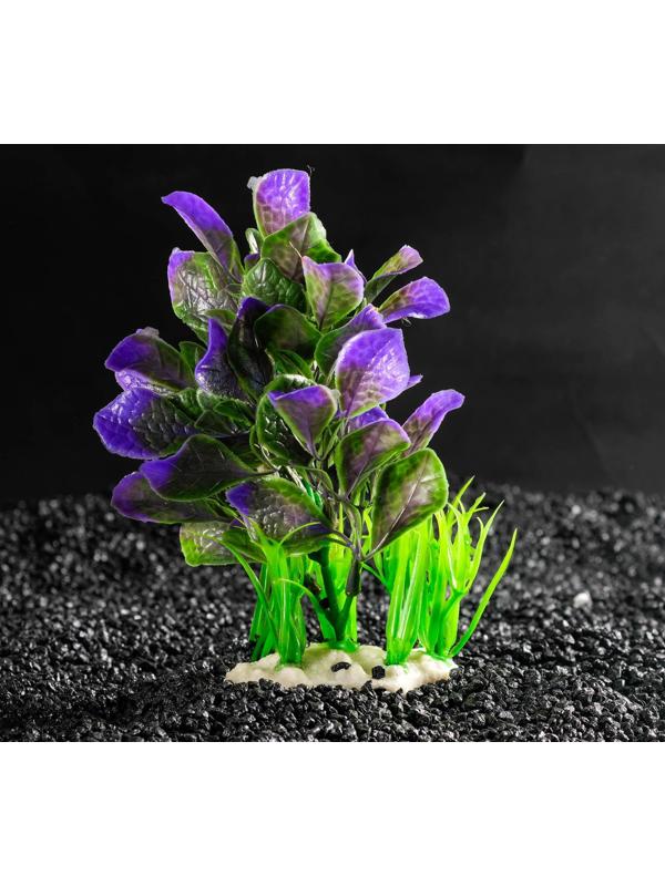 Растение искусственное аквариумное, 14 х 12 х 17 см