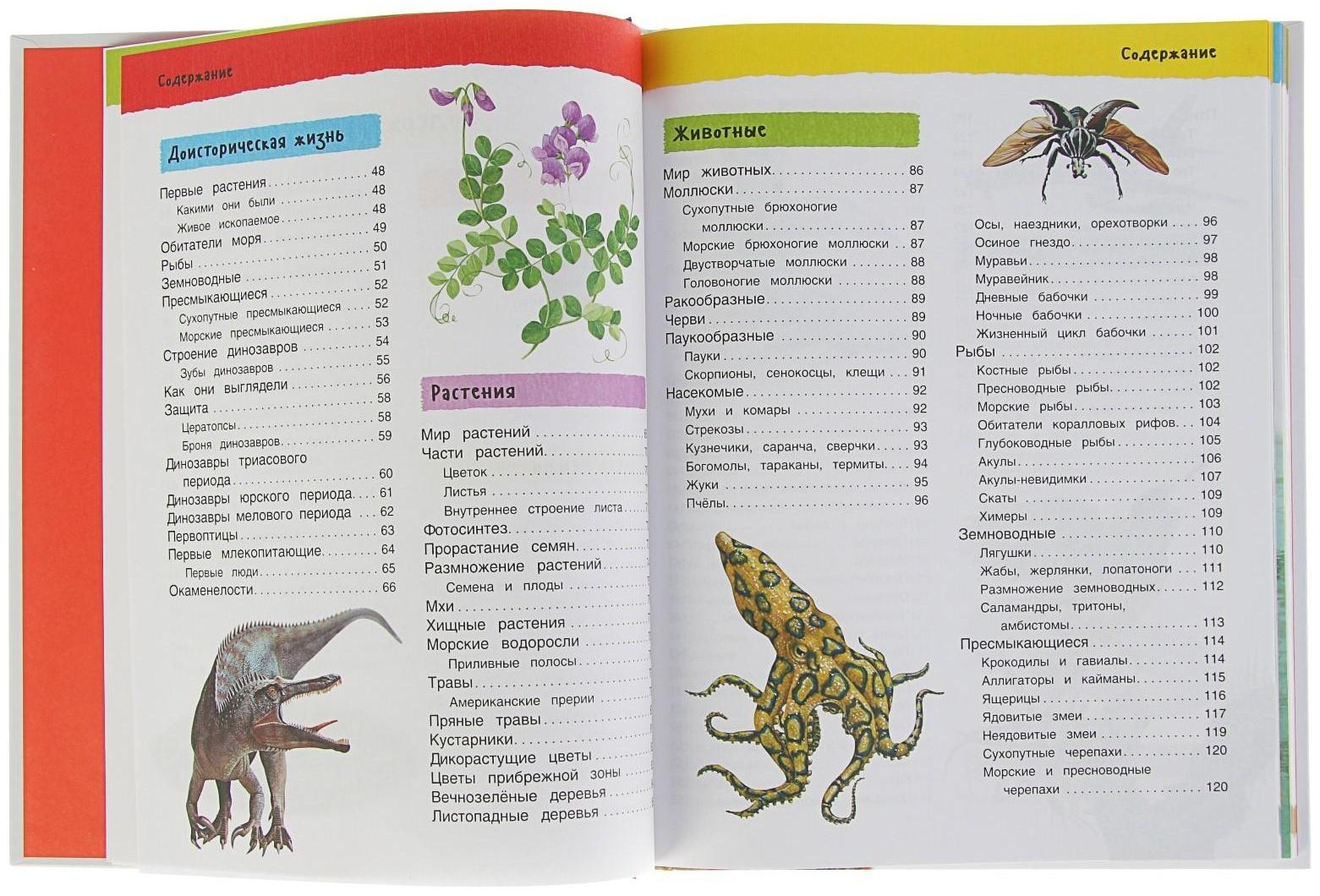 Большая иллюстрированная энциклопедия