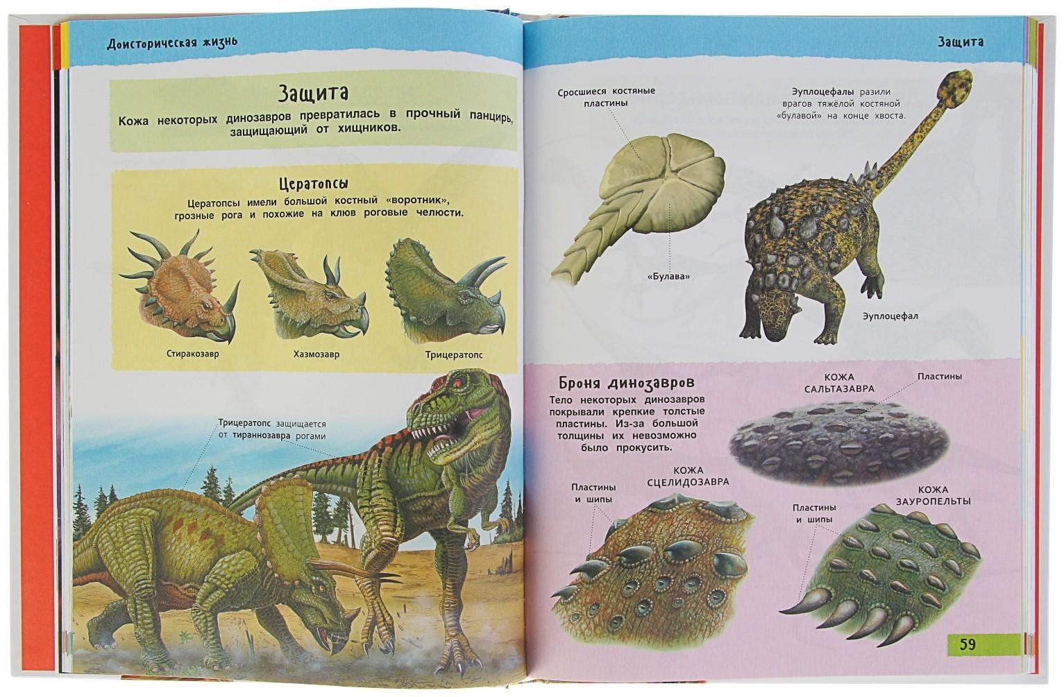 Большая иллюстрированная энциклопедия