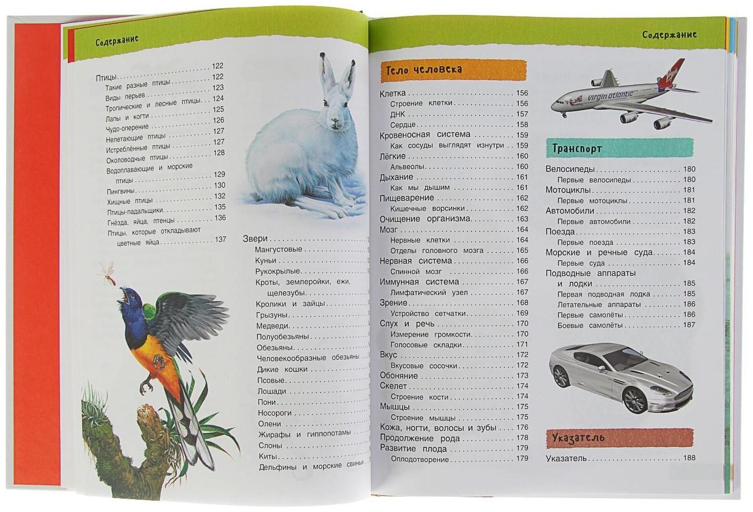 Большая иллюстрированная энциклопедия