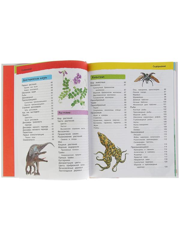 Большая иллюстрированная энциклопедия