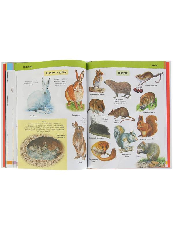 Большая иллюстрированная энциклопедия