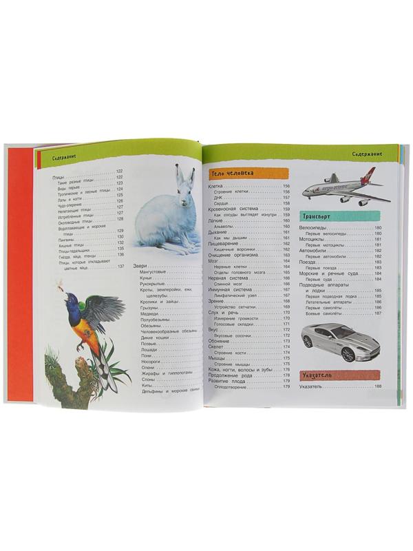 Большая иллюстрированная энциклопедия