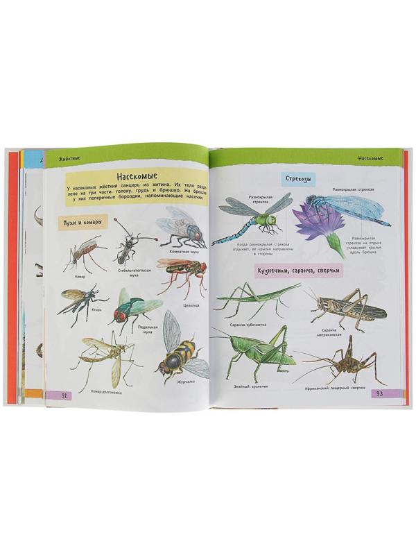 Большая иллюстрированная энциклопедия