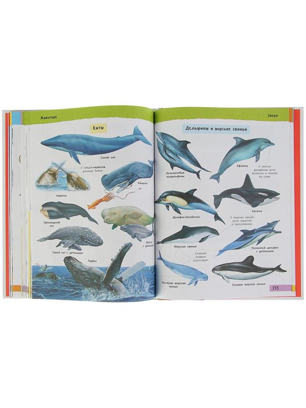 Большая иллюстрированная энциклопедия