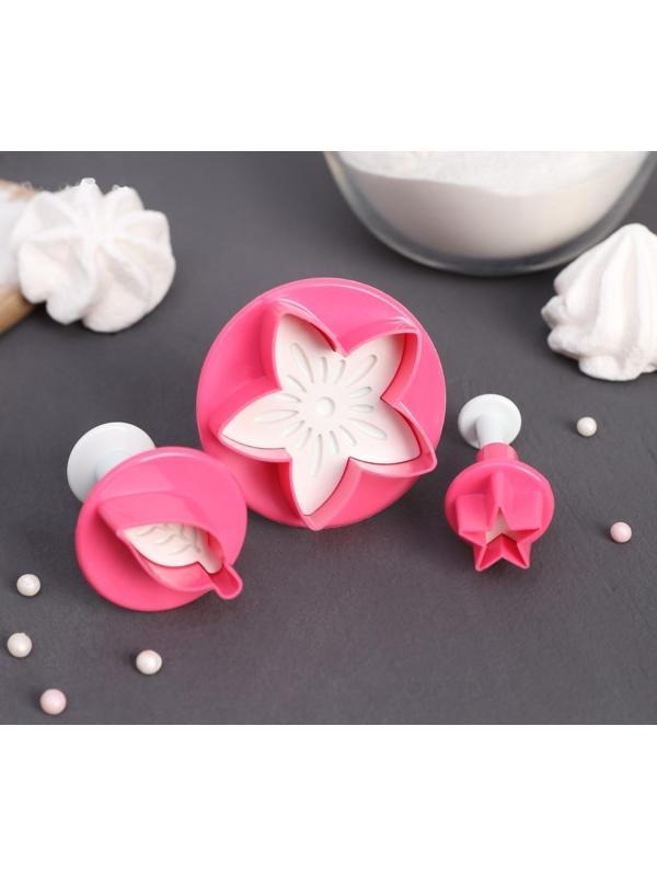 Набор плунжеров кондитерских Доляна «Цветок. Листок. Звёздочка», 3 шт