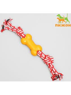 Игрушка канатная двойная с косточкой, до 30 см, до 85 г, микс цветов