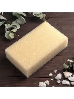 Губка для тела «Секрет красоты», 20×12×5 см, антицеллюлитная