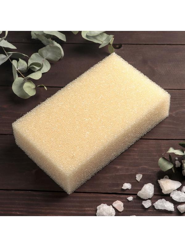 Губка для тела «Секрет красоты», 20×12×5 см, антицеллюлитная