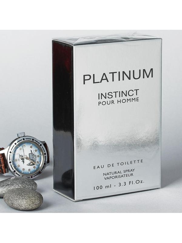 Туалетная вода мужская Instinct Platinum, 100 мл