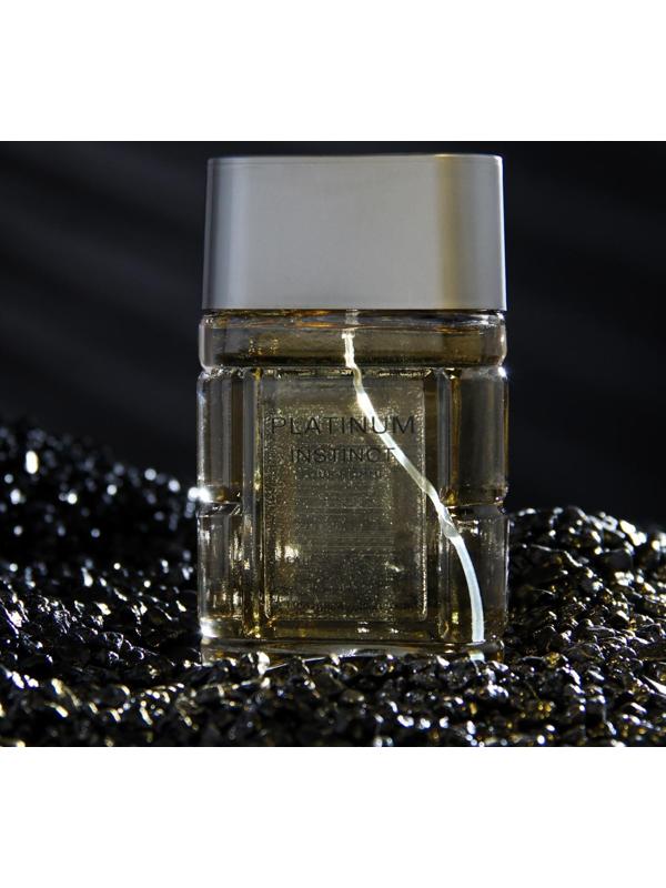Туалетная вода мужская Instinct Platinum, 100 мл